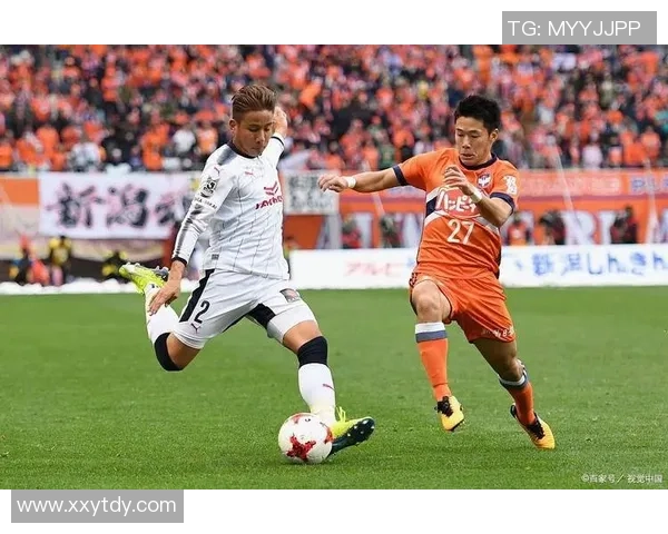 广岛三箭迎战樱花球队力争主场胜利展现实力与激情